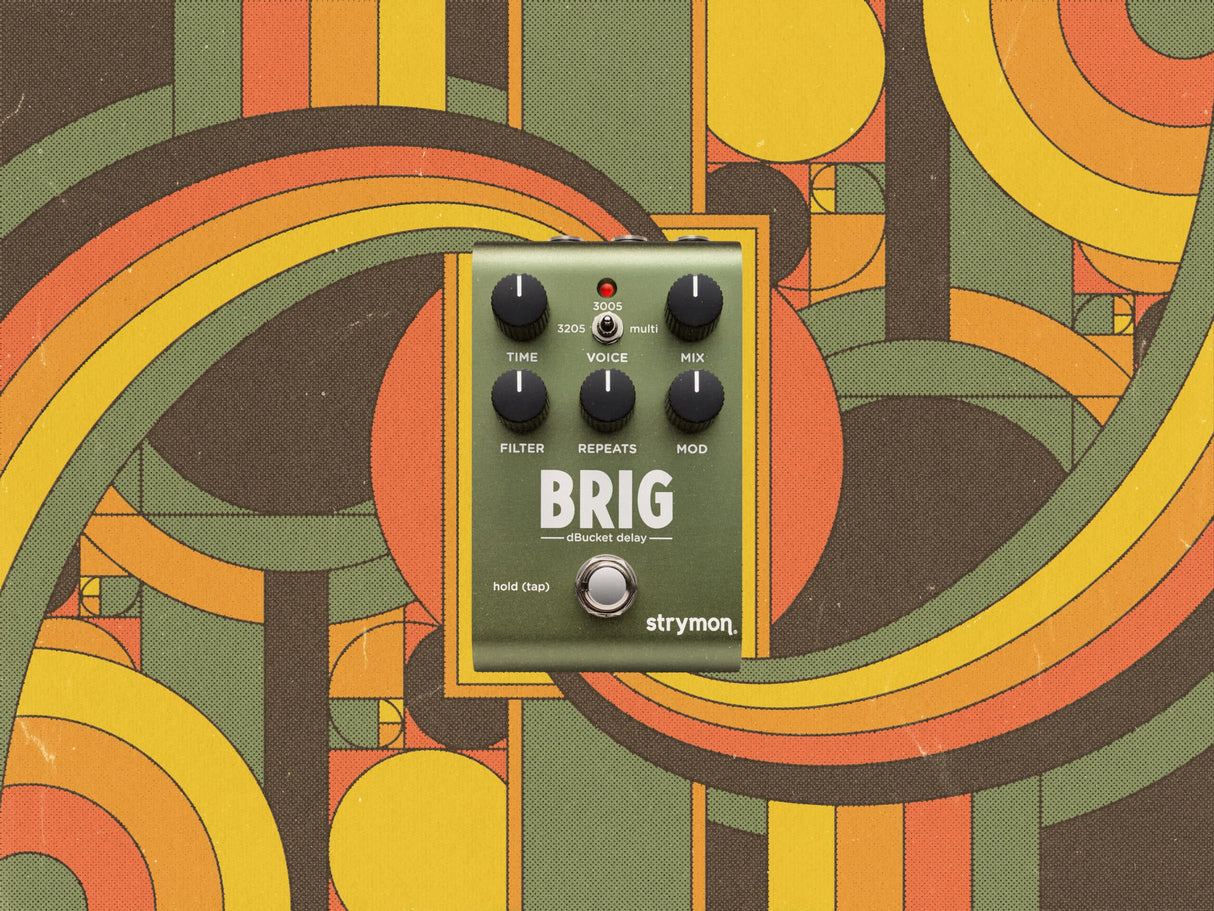 STRYMON BRIG dBucket Effect Pedal
