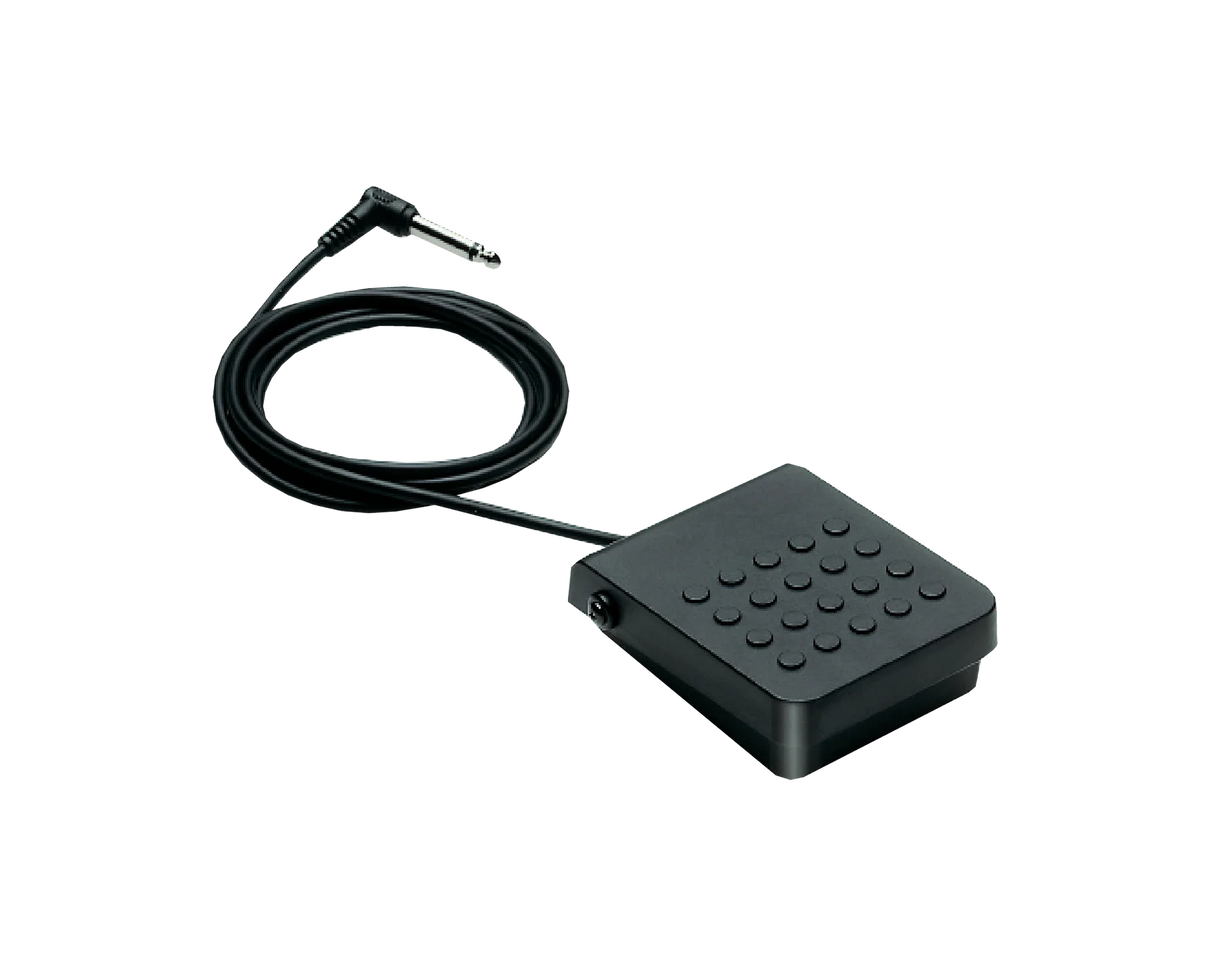 Black sustain foot pedal with cable on a clear background
