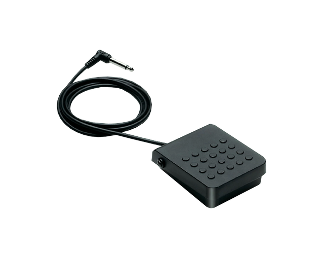 Black sustain foot pedal with cable on a clear background