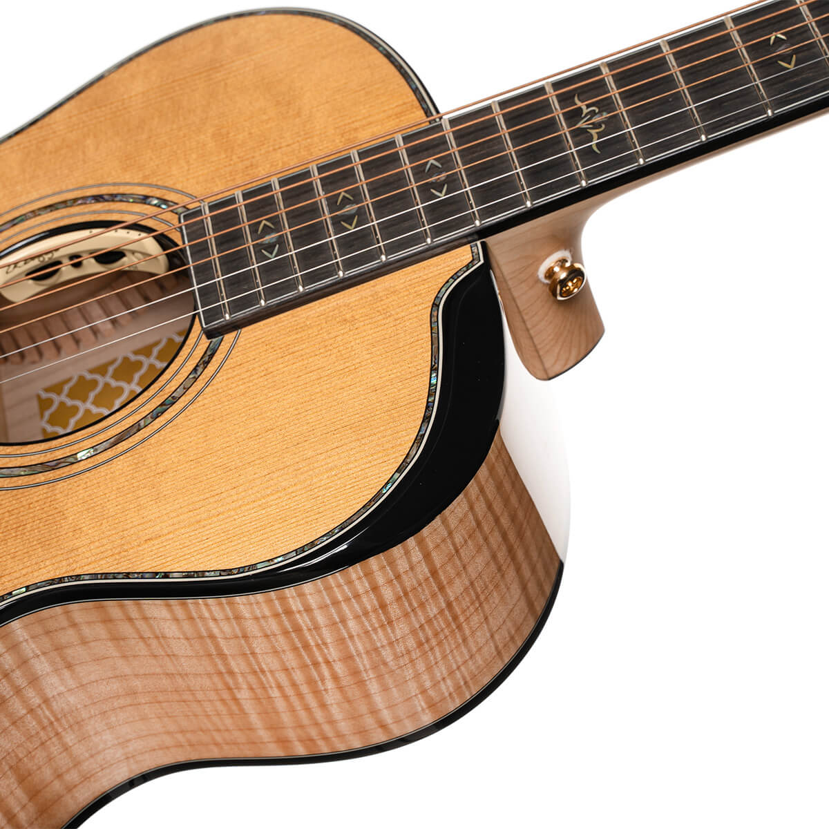 CORT Gold Passion Acoustic Electric Guitar with Hard Case