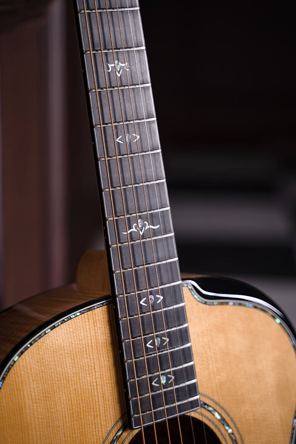 CORT Gold Passion Acoustic Electric Guitar with Hard Case