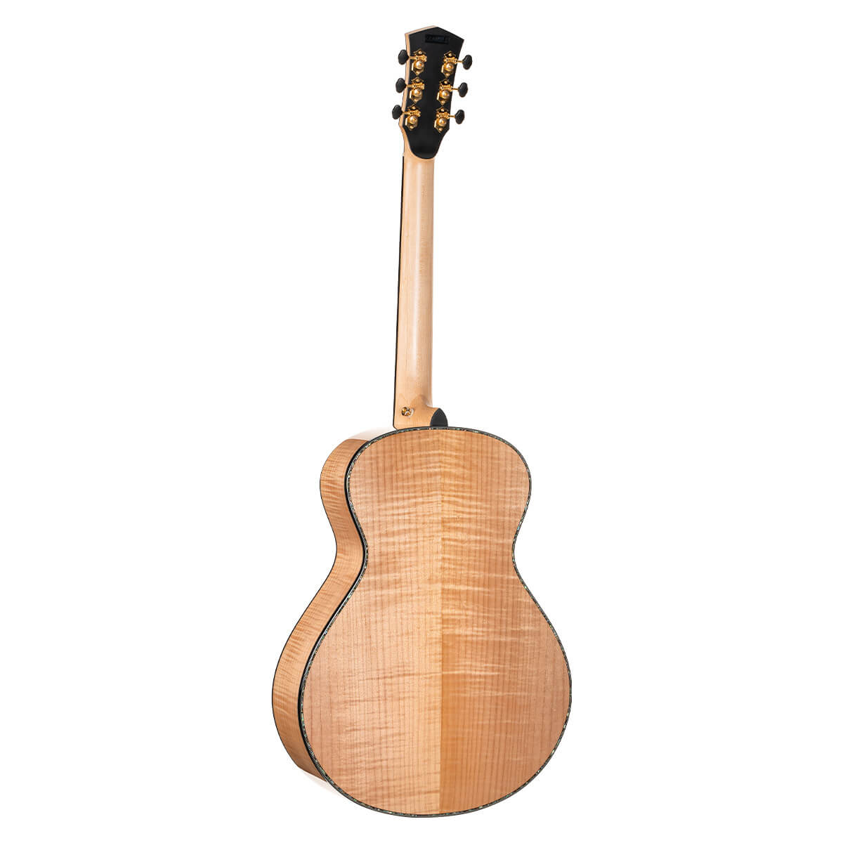CORT Gold Passion Acoustic Electric Guitar with Hard Case