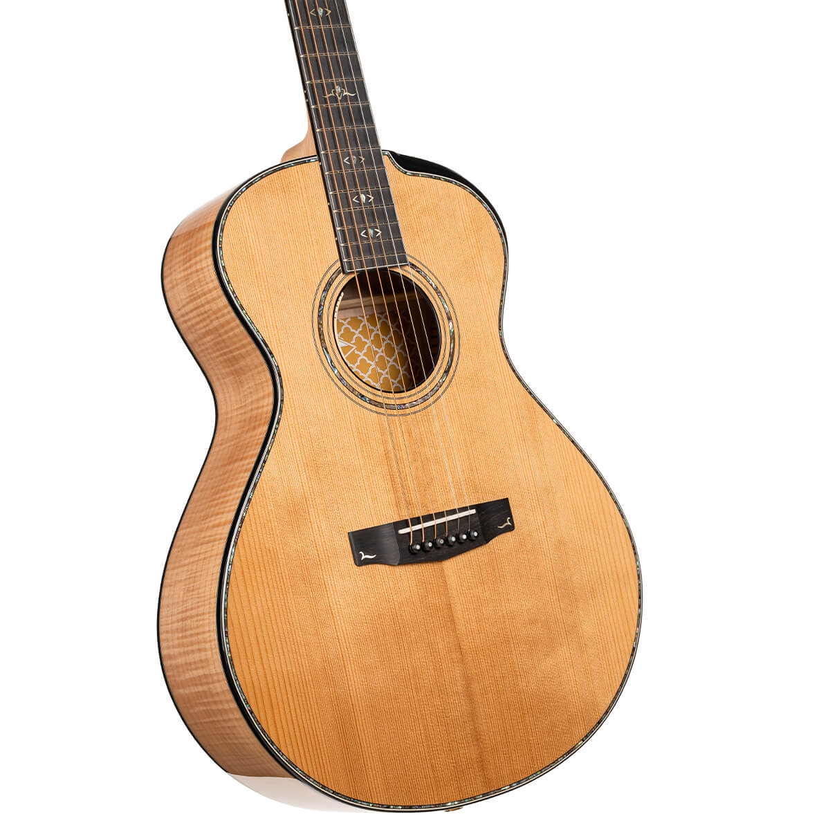 CORT Gold Passion Acoustic Electric Guitar with Hard Case