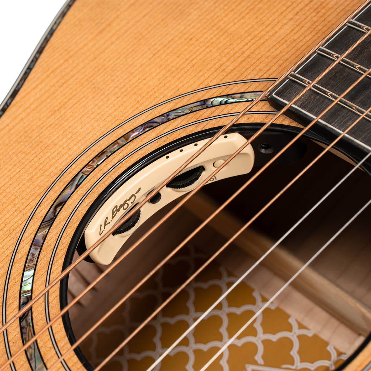 CORT Gold Passion Acoustic Electric Guitar with Hard Case