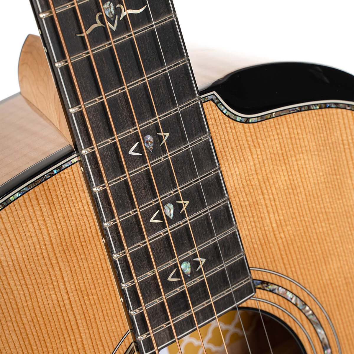 CORT Gold Passion Acoustic Electric Guitar with Hard Case