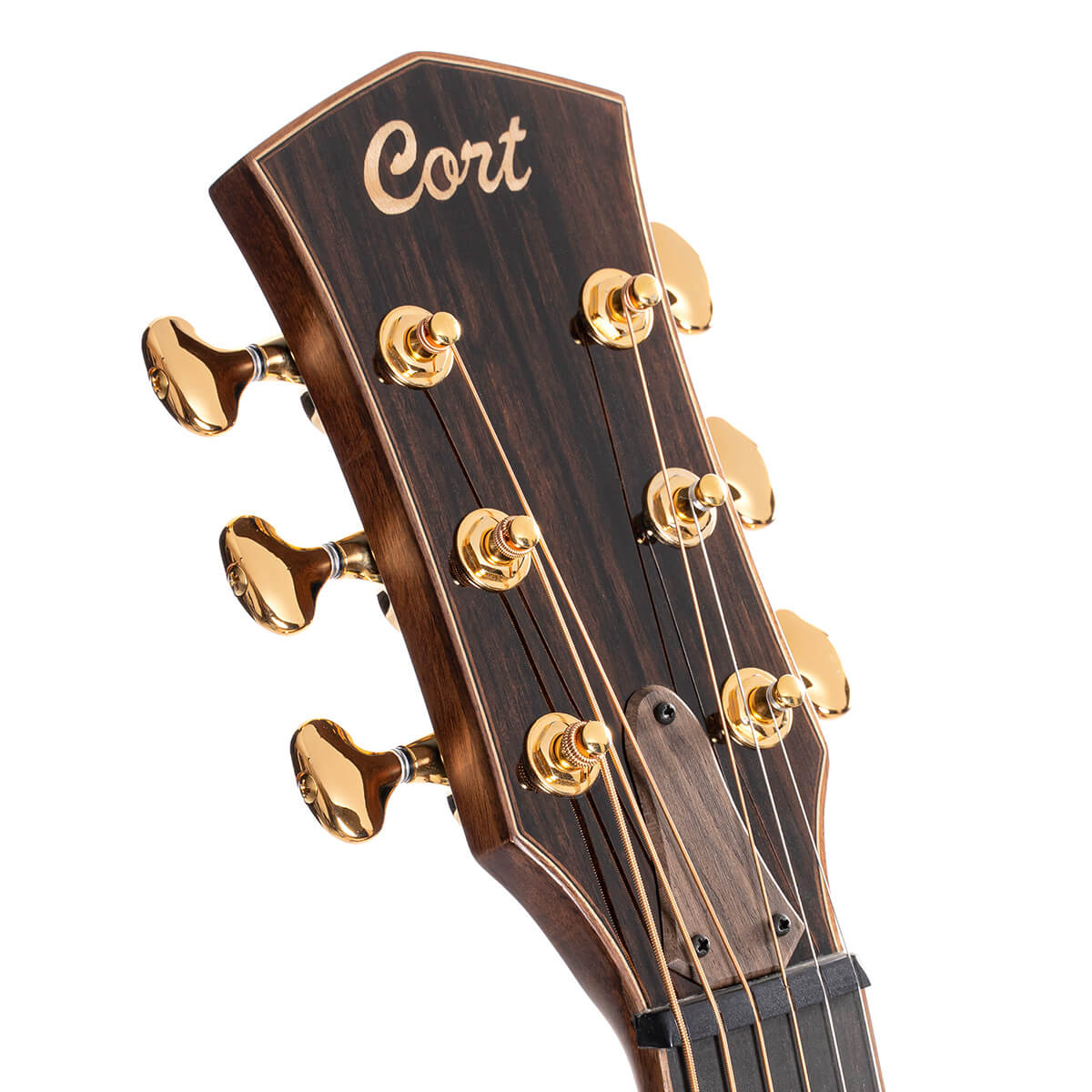 CORT Masterpiece Modern Black Acoustic Electric Guitar with Hard Case