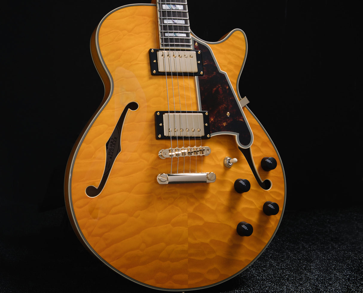 D'ANGELICO Excel SS XT