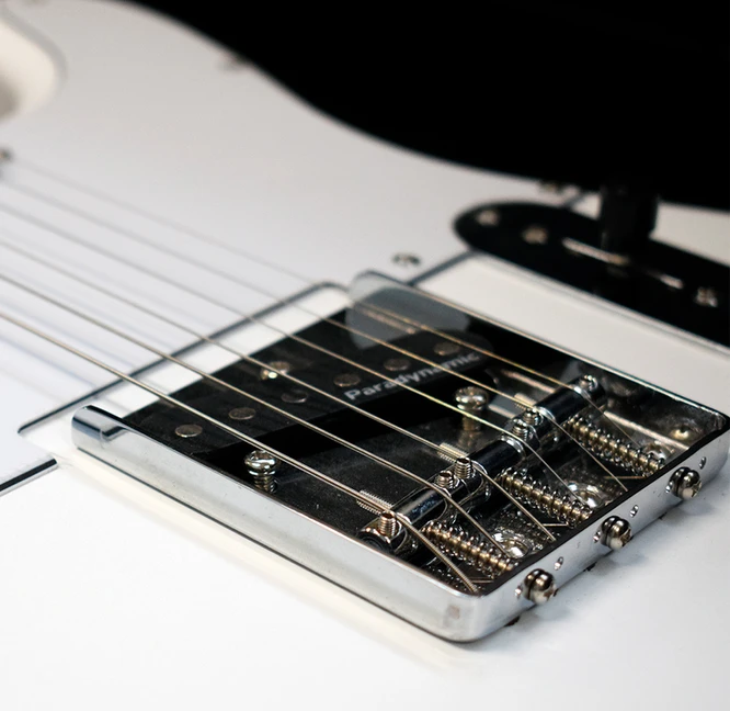 NEWEN TL Electric Guitar