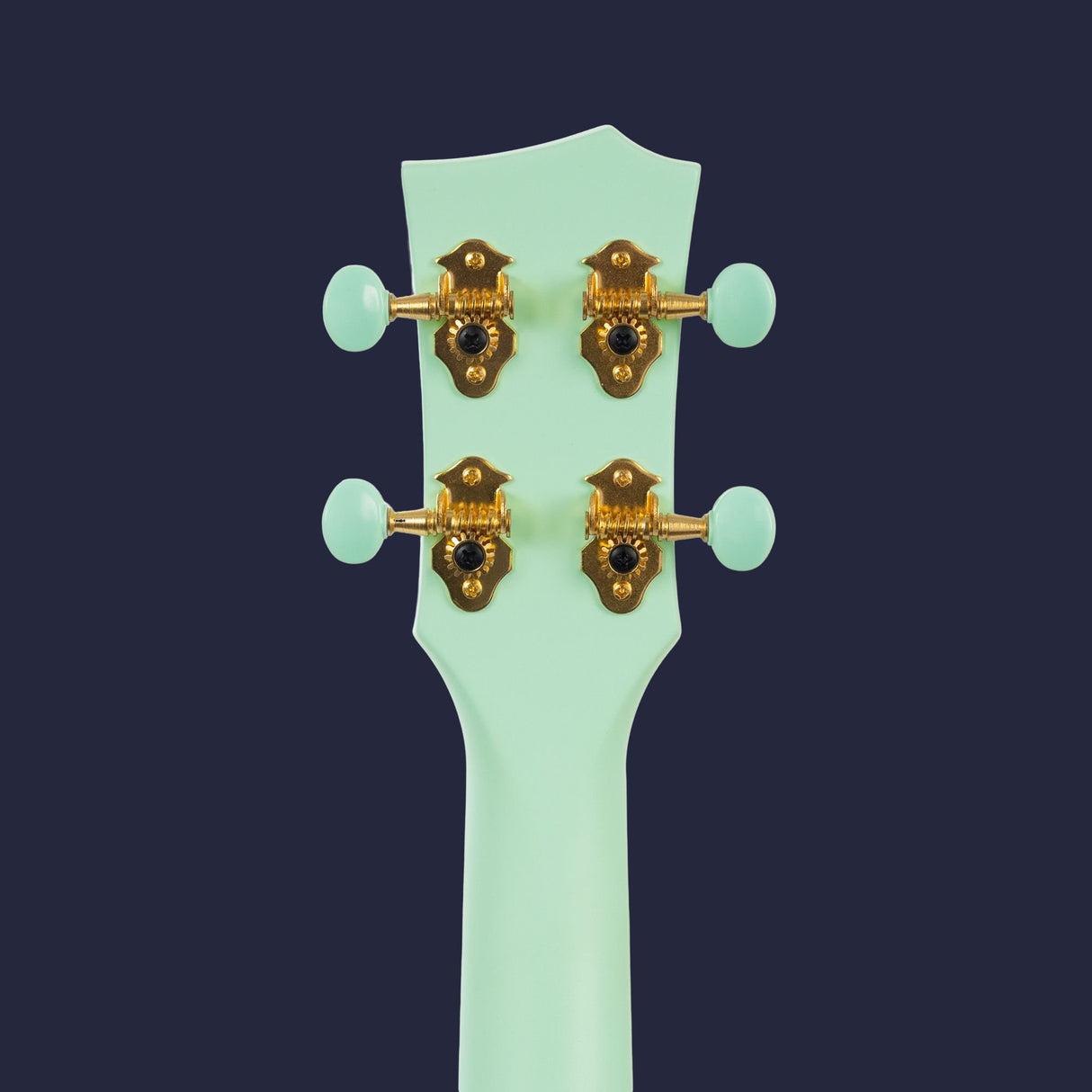 CASCHA Concert Carbon Fibre Ukulele
