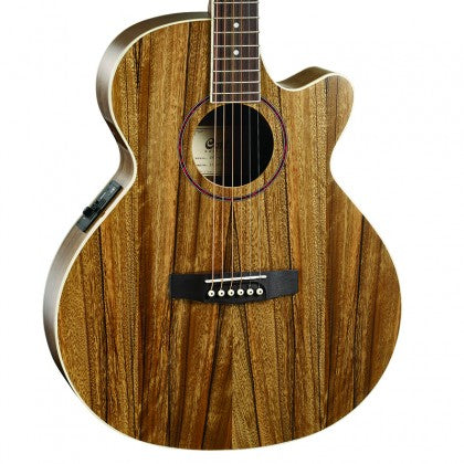 CORT SFX-DAO Acoustic Electric Guitar