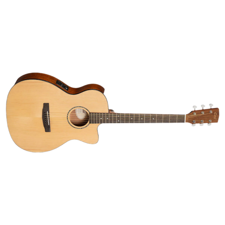 Acoustic Guitars