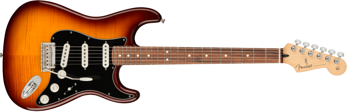 FENDER Player Stratocaster® Plus Top Electric Guitar