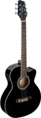Acoustic Guitars