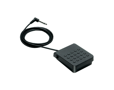 Black sustain foot pedal with cable on a clear background