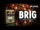 STRYMON BRIG dBucket