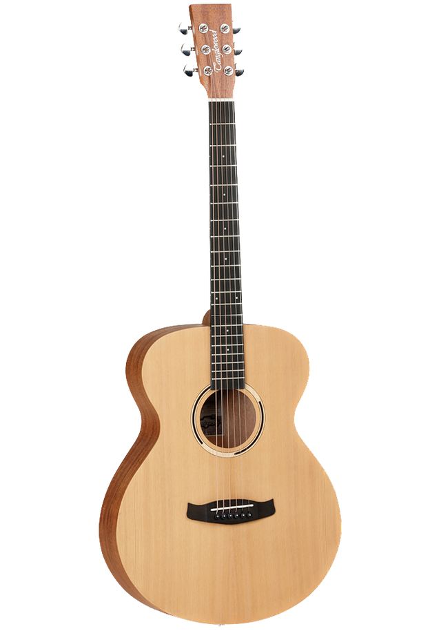 Best strings for online tanglewood acoustic guitar