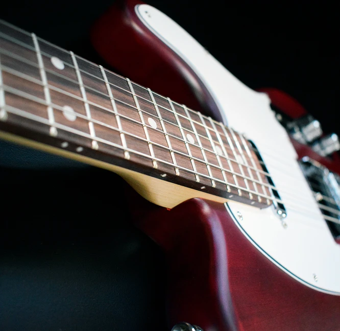 NEWEN TL Electric Guitar