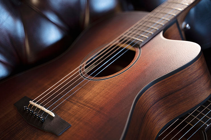 CORT Core-OC Blackwood Acoustic Electric Guitar with Bag