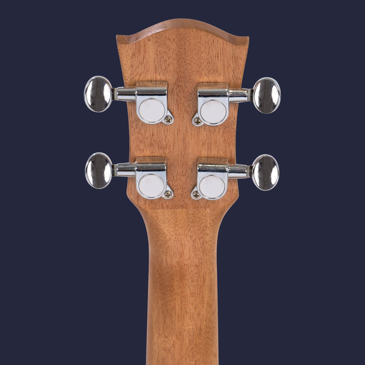 CASCHA Concert Mahogany Ukulele