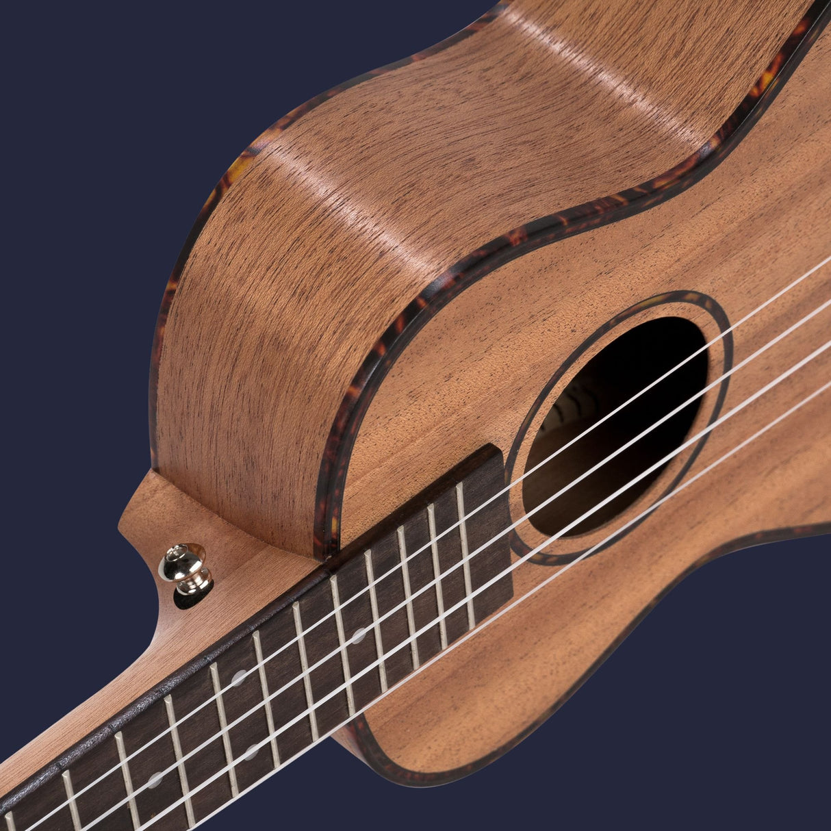 CASCHA Concert Mahogany Ukulele