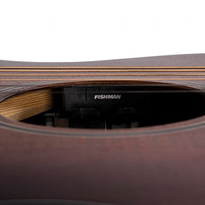 CORT Core-OC Blackwood Acoustic Electric Guitar with Bag